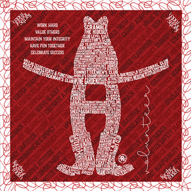 Volunteer Red Scarf